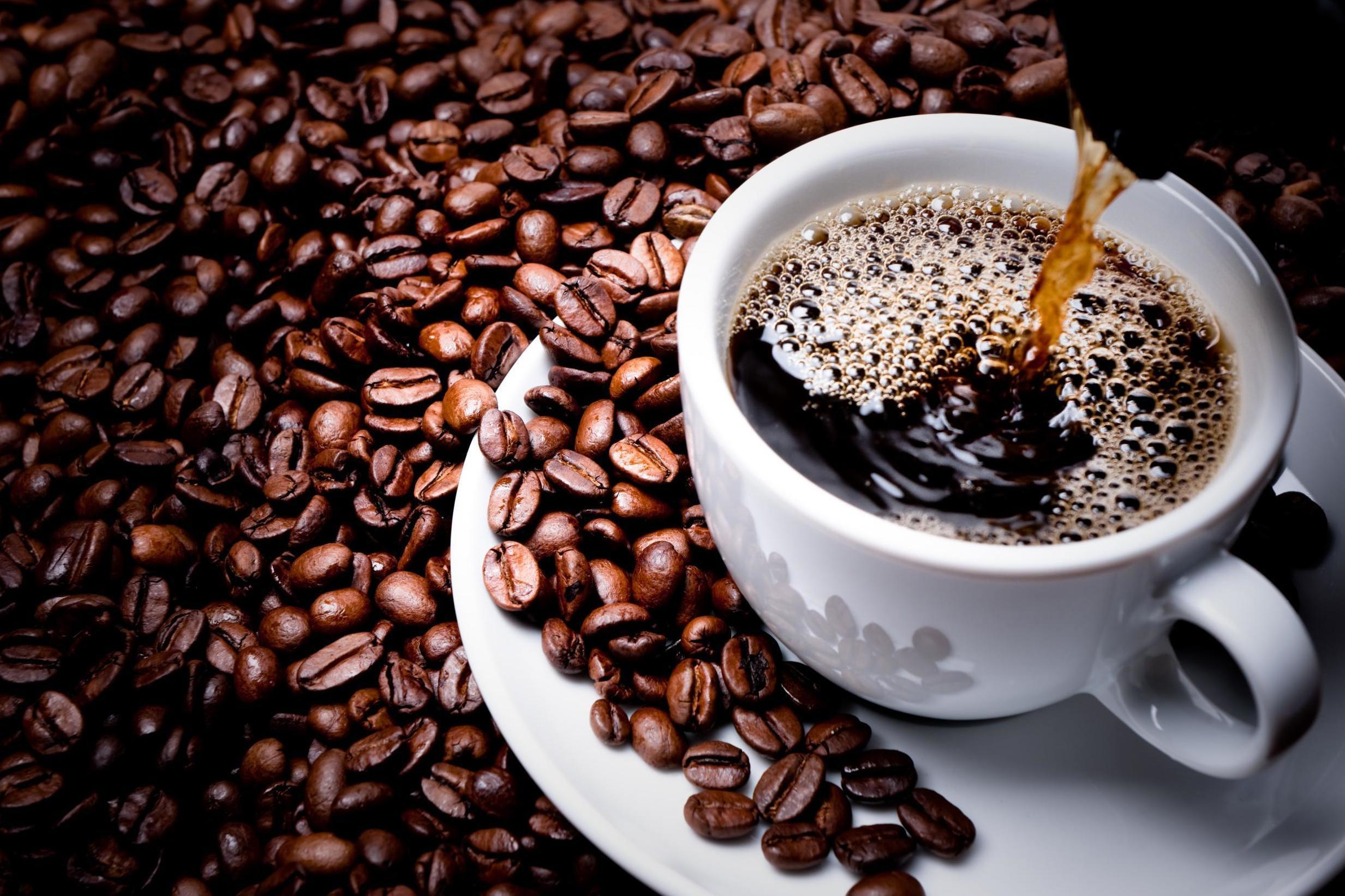 The History of Kona Coffee